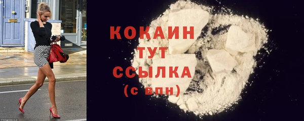 гидра Богородицк
