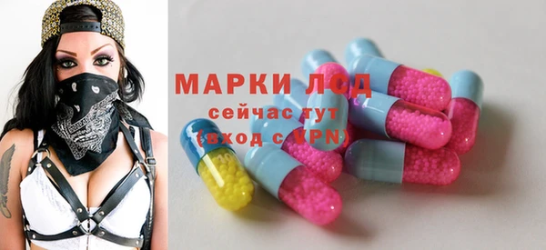 гидра Богородицк