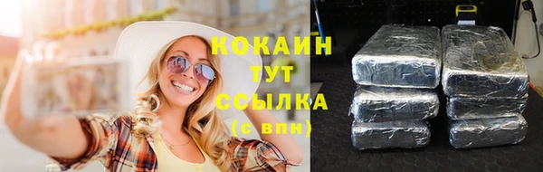 гидра Богородицк