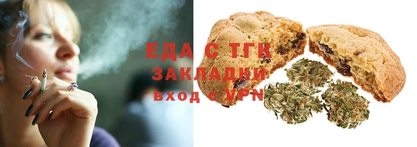 гидра Богородицк