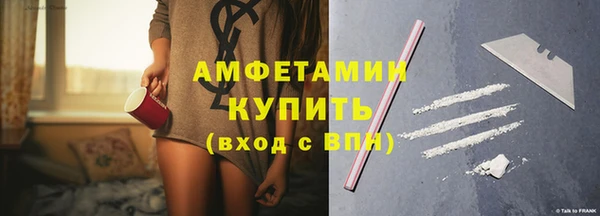 гидра Богородицк