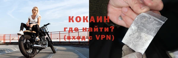 гидра Богородицк
