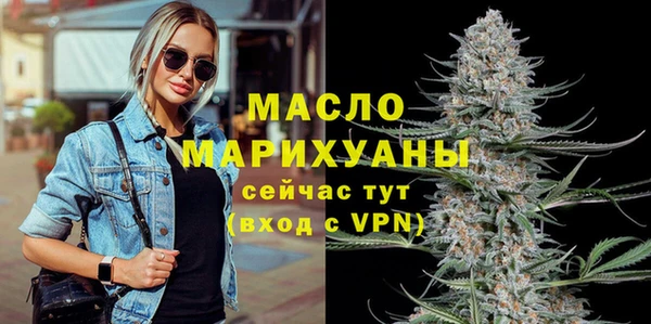 гидра Богородицк