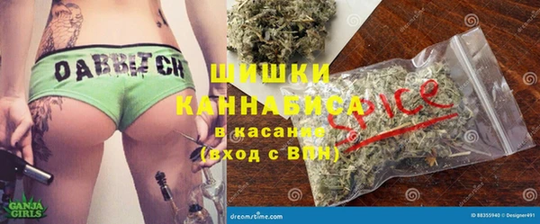 гидра Богородицк