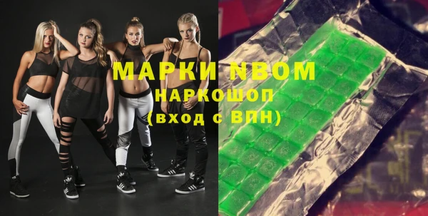 гидра Богородицк