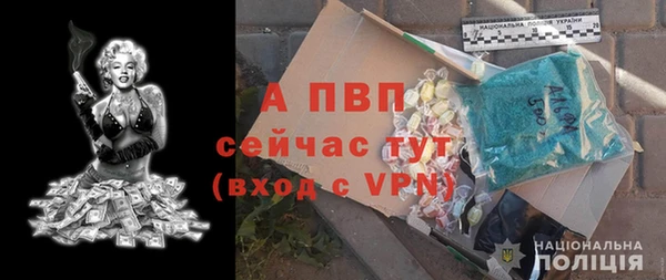 не бодяженный Богданович